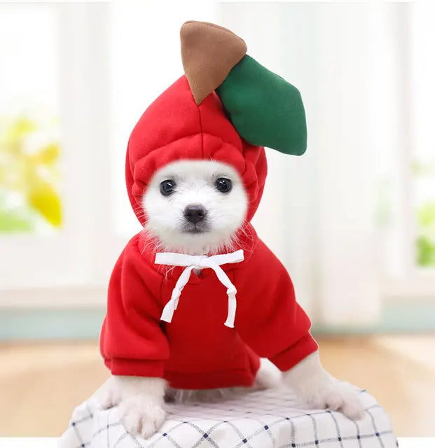 WagHoodie™ - Cute Fruity Animal Hoodie (Dogs/Cats)