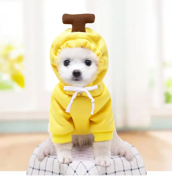 WagHoodie™ - Cute Fruity Animal Hoodie (Dogs/Cats)