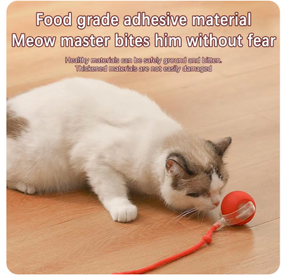 WagRoll™ - Interactive Automatic Rolling Ball with Fake Tail for Cats and Dogs